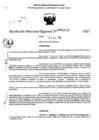 Vista preliminar de documento RDR 0310-2025
