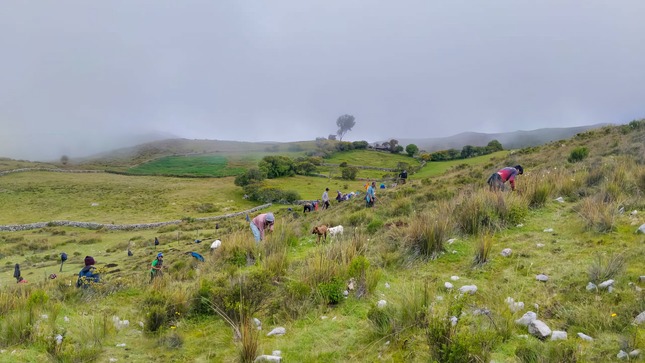 DRA Ayacucho reinicia proyecto regulación hídrica en 119 microcuencas