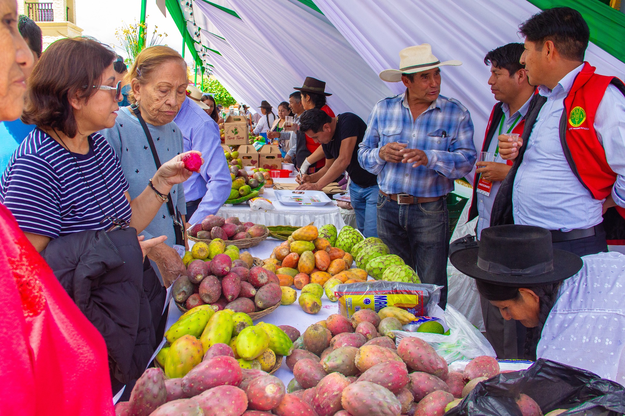 DRA Ayacucho celebró con éxito el XXV Festival Nacional de la Tuna