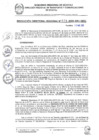 Vista preliminar de documento RDR 076-2025