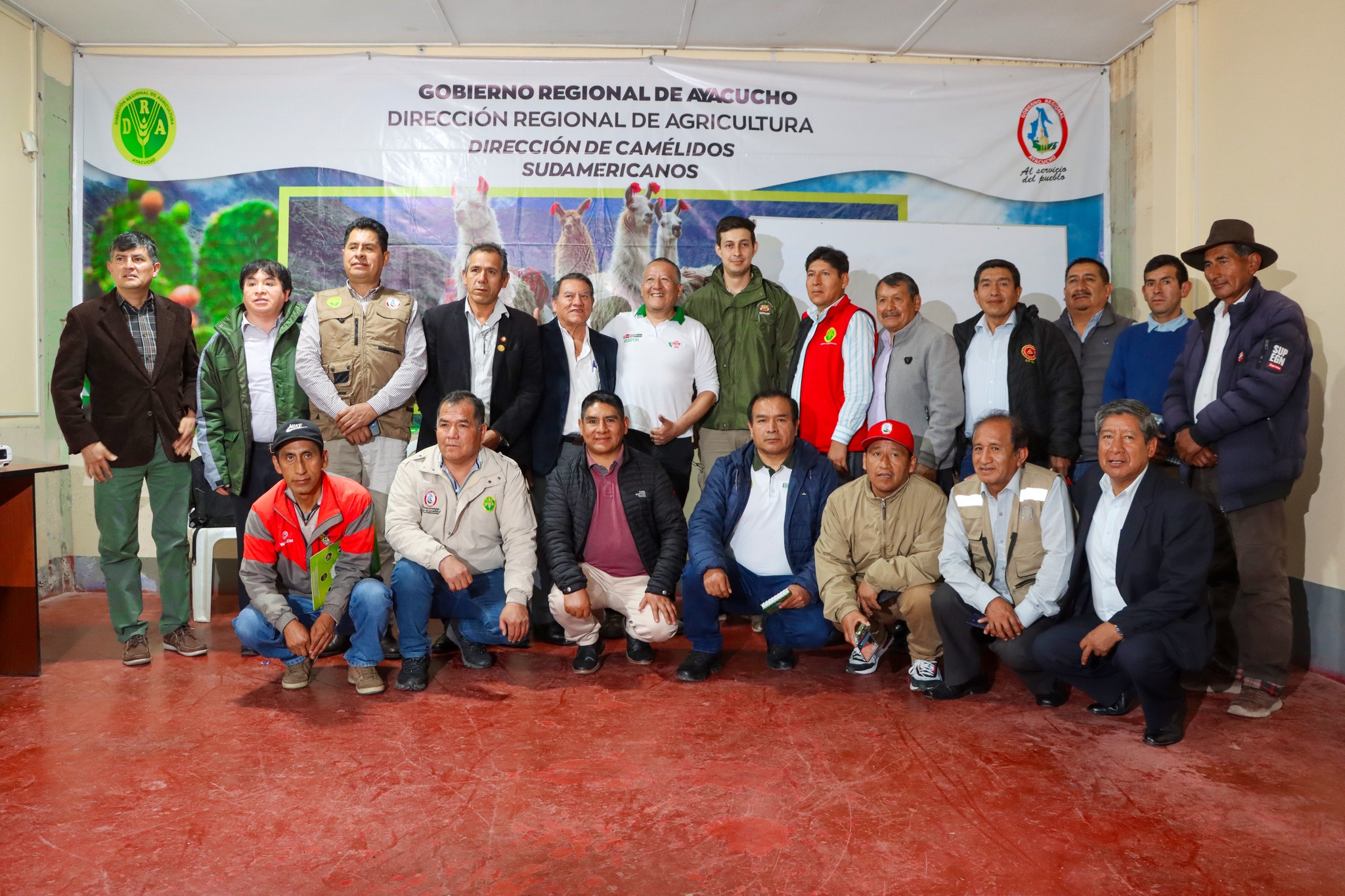 Ayacucho se prepara para el V Censo Nacional de Vicuñas 2025 