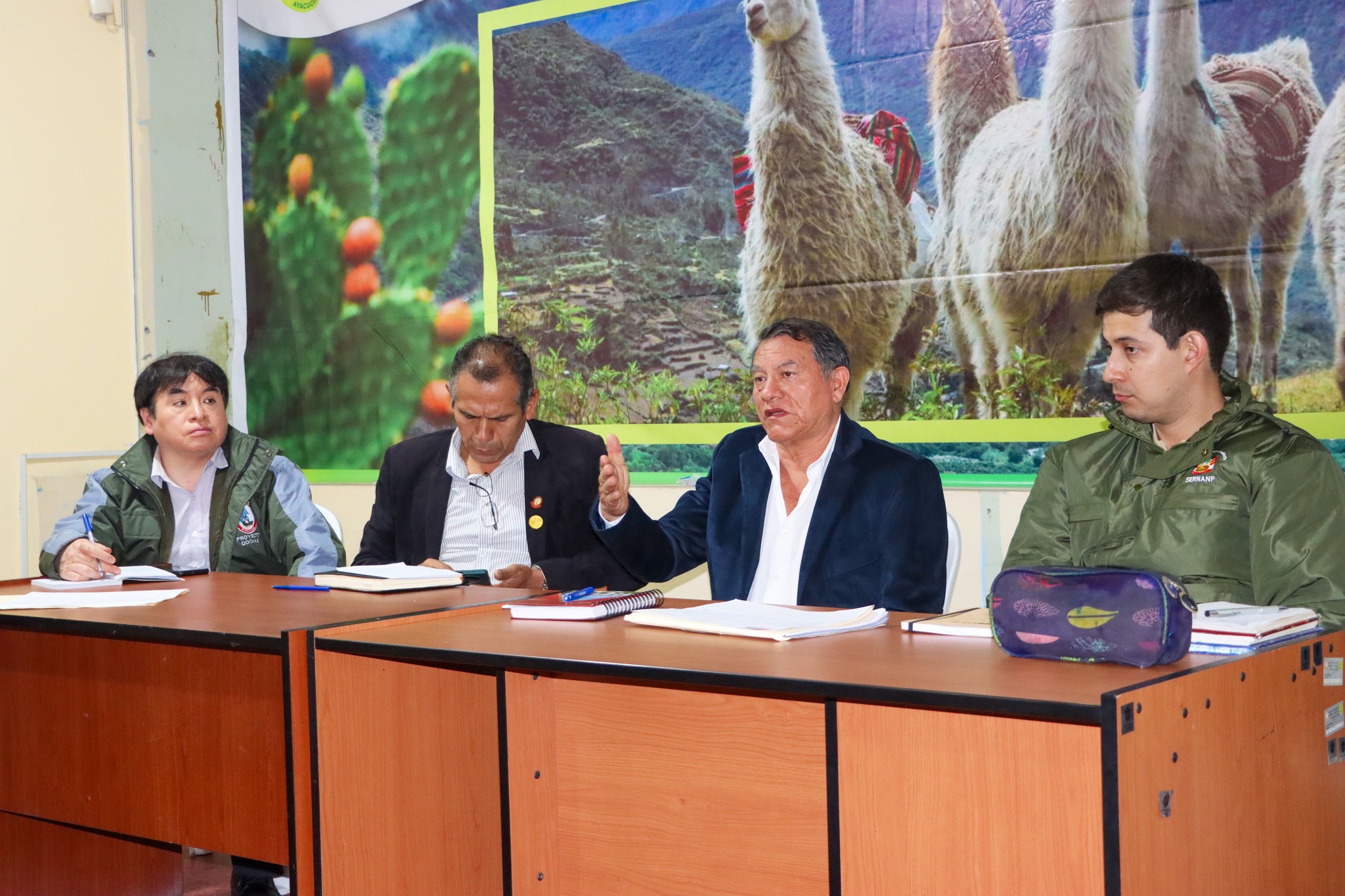 Ayacucho se prepara para el V Censo Nacional de Vicuñas 2025 