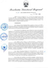Vista preliminar de documento RDR-163-2025