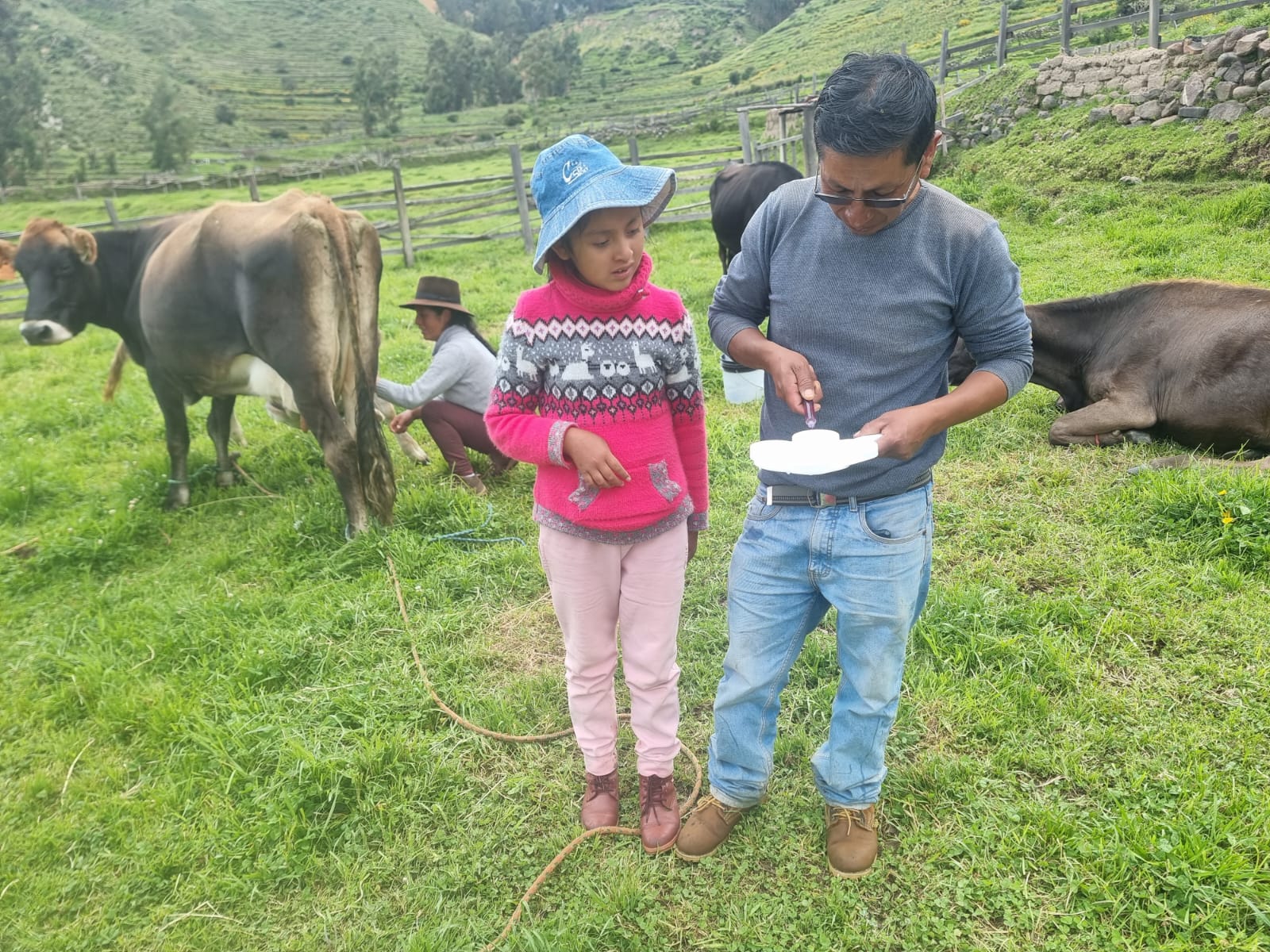 Proyecto Bovino Lucanas fortalece las buenas prácticas de ordeño en Andamarca