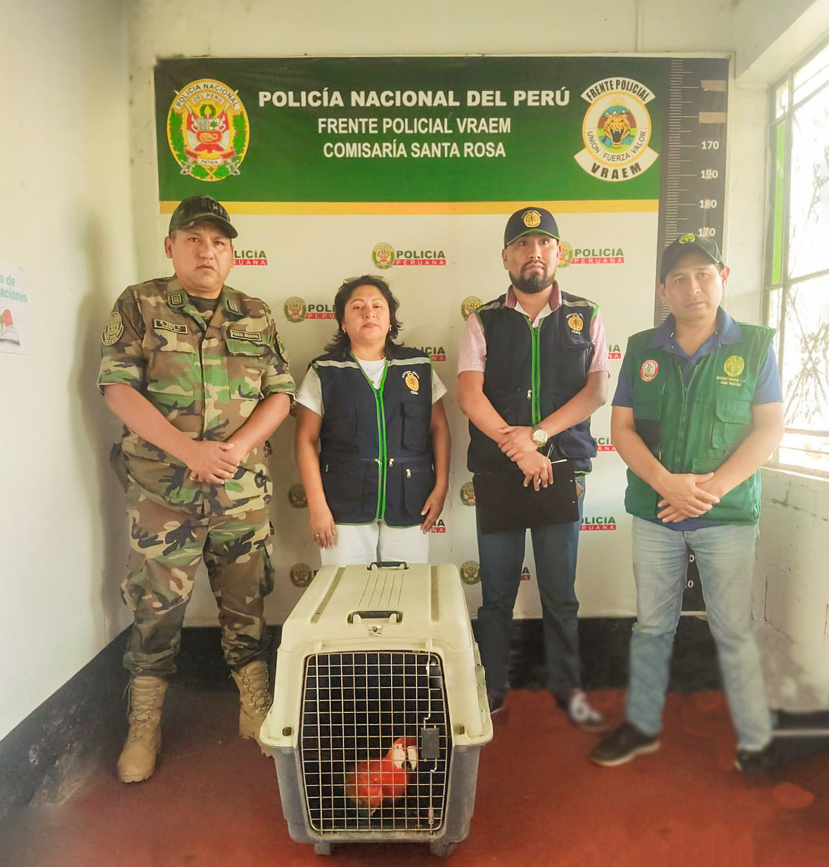 DRA Ayacucho refuerza compromiso con la protección de fauna silvestre