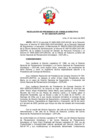 Vista preliminar de documento RS_PCD_0312025