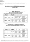 Vista preliminar de documento Anexo RJ 744-2025