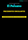 Vista preliminar de documento JU20250323