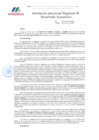 Vista preliminar de documento RGRDE 025-2025-GRDE.MOQ