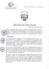 Vista preliminar de documento RD N°079-03-2025-DE-HCLLH-MINSA