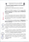 Vista preliminar de documento RG093-2025