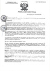 Vista preliminar de documento R.D N° 060-2025-HMA-DG