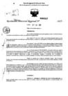 Vista preliminar de documento RDR 0312-2025