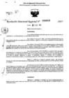 Vista preliminar de documento RDR 0313-2025