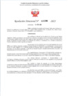 Vista preliminar de documento RD 396-2025 - ASCENSO - SILVA CASCA MARIBEL LUZ