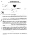 Vista preliminar de documento RDR 0316-2025