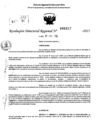 Vista preliminar de documento RDR 0317-2025