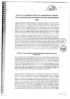 Vista preliminar de documento ACTA