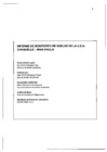 Vista preliminar de documento INFORME DE MONITOREO