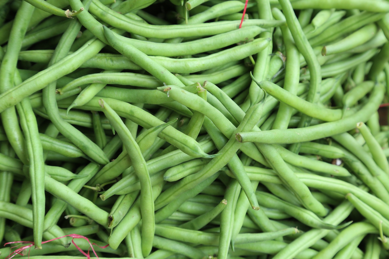 MERCADOS
