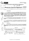 Vista preliminar de documento RDR 0325-2025