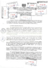 Vista preliminar de documento Resolución Gerencial N° 276-2024-GDTyGI-MPP