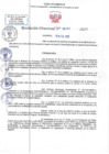 Vista preliminar de documento RD N 00161