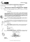 Vista preliminar de documento RDR 0328-2025