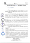 Vista preliminar de documento RESOLUCION JEFATURAL N° 050-2025-GORE-ICA-PETACC-JP