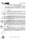 Vista preliminar de documento RDR 0335-2025