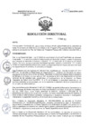 Vista preliminar de documento R.D. Nº 076-2025