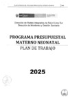 Vista preliminar de documento R.D. Nº 076-2025 PLAN MATERNO NEONATAL.
