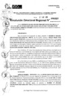 Vista preliminar de documento RDR 0337-2025