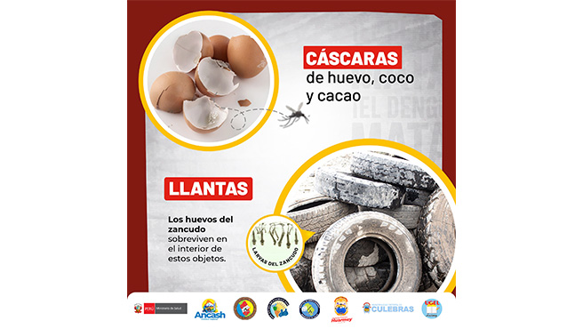 Unidos Contra el Dengue