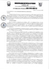 Vista preliminar de documento a36