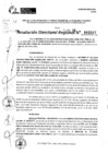 Vista preliminar de documento RDR 0347-2025