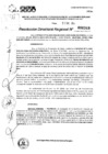 Vista preliminar de documento RDR 0349-2025
