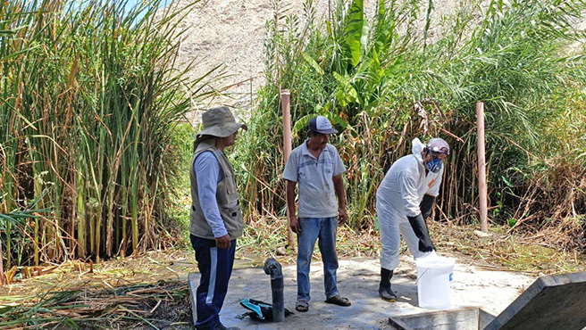 Municipalidad realizó campaña de limpieza y desinfección del sistema de agua potable de las jass en el valle Huarmey
