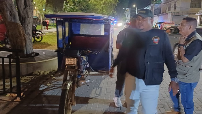 Fiscalización de transportes