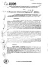 Vista preliminar de documento RDR 0351-2025