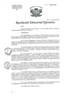 Vista preliminar de documento R.D.E. Nº041-2025-HNAL-OEA