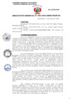 Vista preliminar de documento RG N° 096-2025-GRSM-PEAM-GG