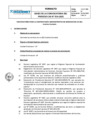 Vista preliminar de documento S3.2-F-001 Bases de la convocatoria proceso CAS 016-2025