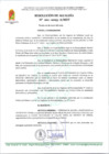 Vista preliminar de documento R A 01-2025-A-MDT