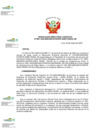Vista preliminar de documento RDE N° 070-2025-DE