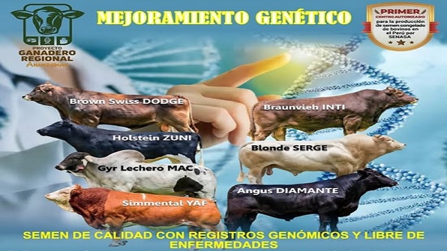 M GENÉTICO