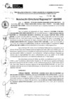 Vista preliminar de documento RDR 0356-2025