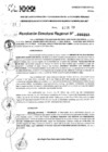 Vista preliminar de documento RDR 0357-2025