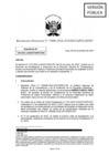 Vista preliminar de documento RD 3900-2024