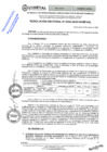 Vista preliminar de documento RES.RECT. N 0255-UNHEVAL Y SU ANEXO